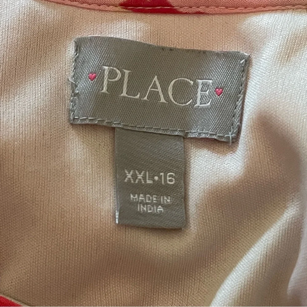 XXL (16) The Children's Place dress